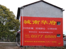 镇康百分之90的人都不了解的农村墙体广告