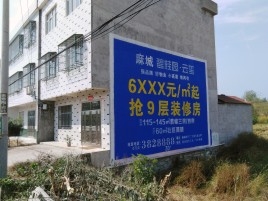 镇康墙体广告质量分析