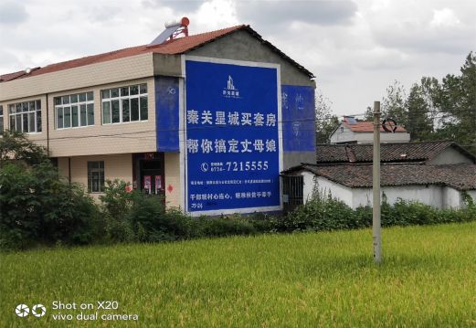 镇康决定墙体广告价格的因素有哪些?