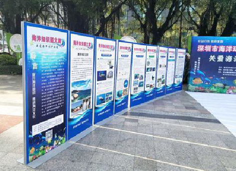 镇康KT板的种类和知识。